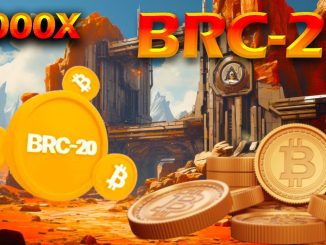 BRC-20 Token Standard Explained for Beginners (2024)