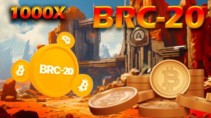 BRC-20 Token Standard Explained for Beginners (2024)