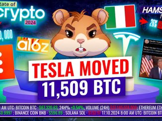 Tesla’s first BTC move in 2 years, Trump’s token sale failure, jail for crypto fraud ⚡️ Hamster News