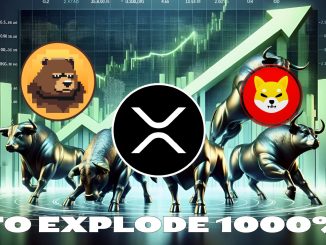 XRP’s Next Move: Could It Explode 1000% and Become the Biggest Crypto Winner of 2025?