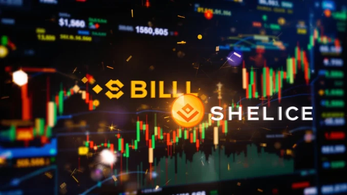 Exciting Binance Listing: SHELL Token Set to Launch After HODLer Airdrops