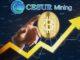 CESUR MINING