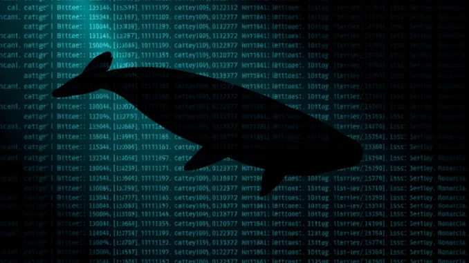Shocking Crypto Whale Move: 3,887 Bitcoin Transferred from Kraken to Mysterious Wallet