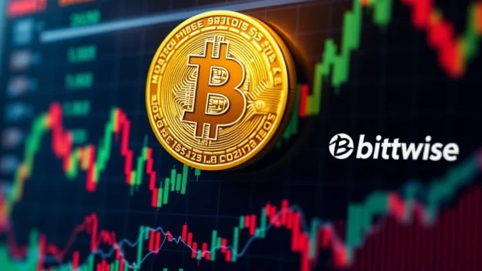 Innovative Bitcoin ETF: Bitwise Launches Groundbreaking OWNB ETF for Bitcoin Holding Companies