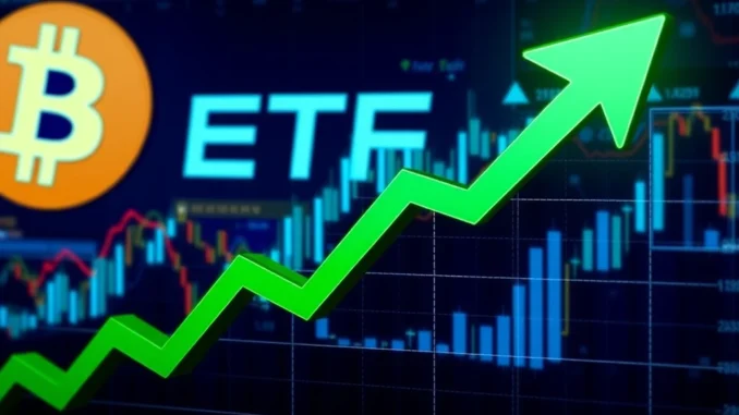 Incredible $274M Bitcoin ETF Inflow Fuels Crypto Market Optimism