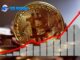 Earn Daily with SIX MINING: Tapping Into Crypto Market Opportunities
