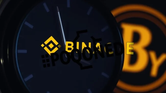 Urgent Update: Binance Postpones Highly-Anticipated BABY Token Listing - Here's the New Time