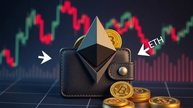Savvy Crypto Wallet Borrows Big: Accumulates $14.54M ETH During Market Dip