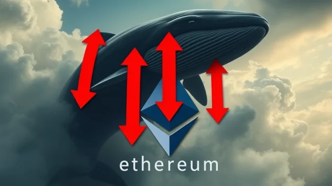 Shocking Ethereum Whale Dump: Over 16,500 ETH Liquidated in Sudden Crypto Market Move