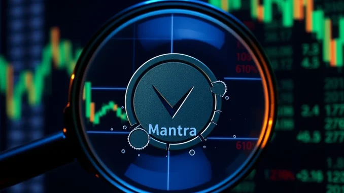 Shocking Collapse: ZachXBT Exposes Reef Founder's Alleged Role in Mantra Token Crash