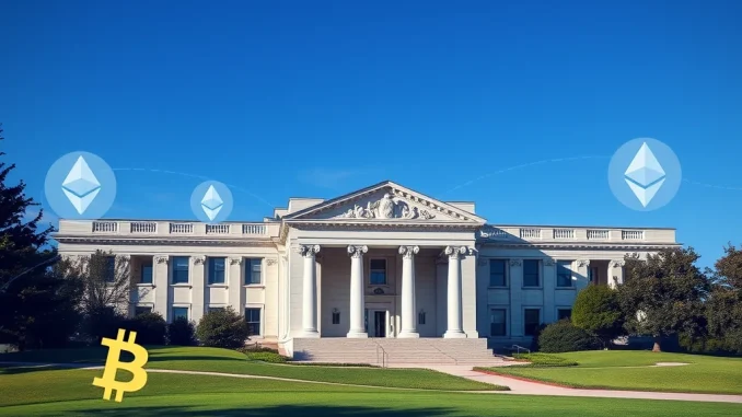 SEC Digital Asset Regulation: Crucial Steps for a Clear Framework