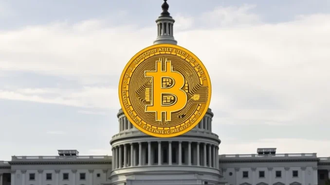 Bitcoin: US Government Offers Crucial Support for Growth