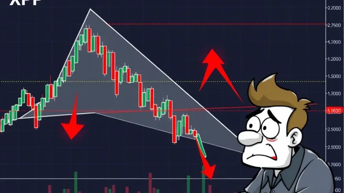 Urgent XRP Alert: Bearish Breakdown Signals Price Plunge - Crypto Market Analysis