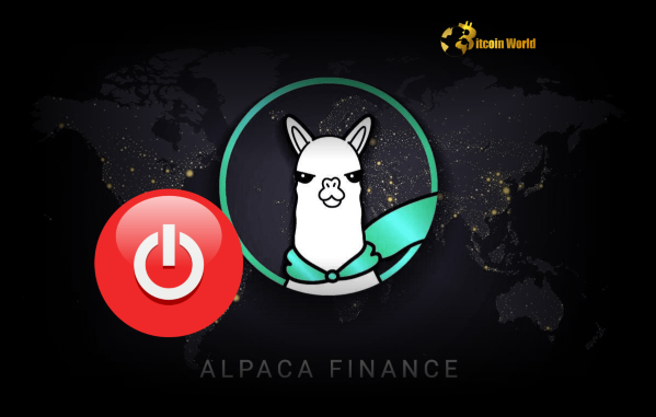 Alpaca Finance Shutdown: Urgent Update on DeFi Platform’s Future Alpaca Finance Shutdown: Urgent Update on DeFi Platform's Future