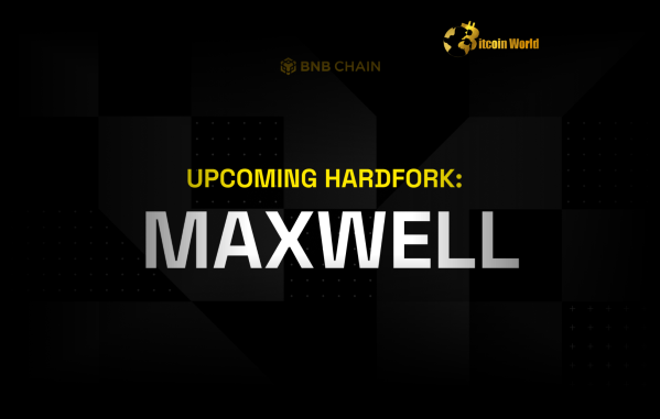 BNB Chain’s Breakthrough Maxwell Hard Fork Hits Testnet BNB Chain’s Breakthrough Maxwell Hard Fork Hits Testnet