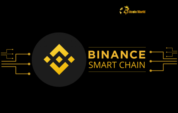 BSC Foundation’s Strategic Purchase Boosts BNB Smart Chain Ecosystem BSC Foundation's Strategic Purchase Boosts BNB Smart Chain Ecosystem