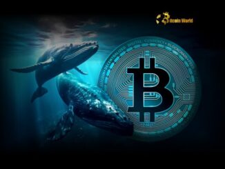 Bitcoin Accumulation: Whales and Retail Fuel Stunning Buying Spree