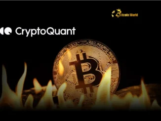 Bitcoin: CryptoQuant Reveals Crucial Signal Before Market Overheating