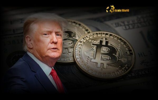 Bitcoin: Historic Shift? Donald Trump Backs Bitcoin Act, US 1M Bitcoin: Historic Shift? Donald Trump Backs Bitcoin Act, US 1M BTC Bill Advances