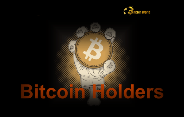 Bitcoin Holders Unleash Strategic Buying During Market Dip Bitcoin Holders Unleash Strategic Buying During Market Dip