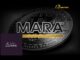 Bitcoin Miner MARA Holdings and Two Prime Forge Strategic Partnership Expansion