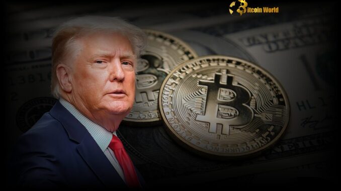 Bitcoin: Trump’s Bold Claim on US Dominance in Crypto Explained Bitcoin: Trump’s Bold Claim on US Dominance in Crypto Explained