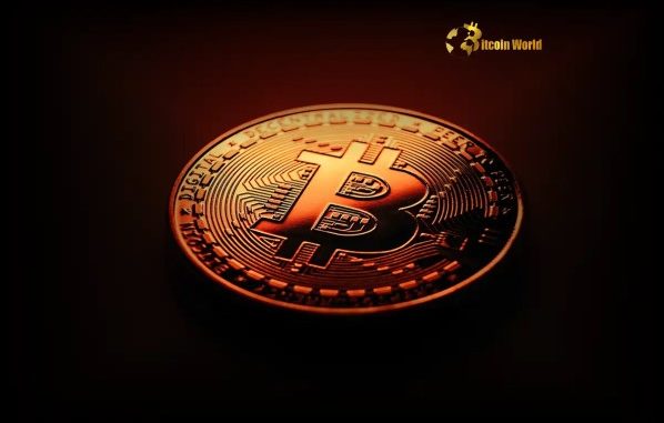 Bitcoin Warning: Signals Point to Potential Price Correction After 7-Week Bitcoin Warning Signals Point to Potential Price Correction After 7-Week Rally