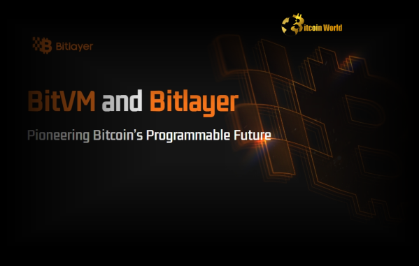 Bitlayer Accelerates BitVM Adoption Through Powerful Mining Pool Partnerships Bitlayer Accelerates BitVM Adoption Through Powerful Mining Pool Partnerships