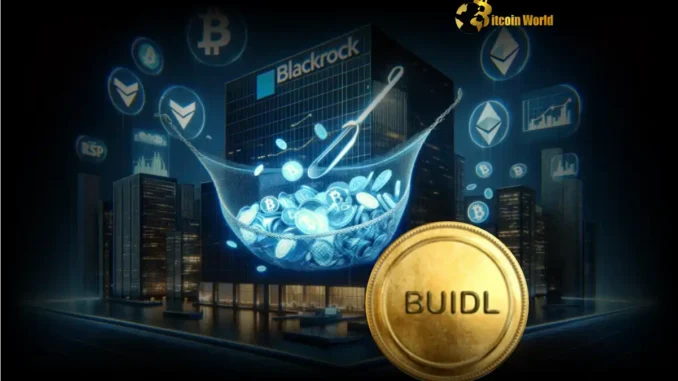 BlackRock BUIDL Fund Achieves Phenomenal $2.88B Milestone on Ethereum BlackRock BUIDL Fund Achieves Phenomenal $2.88B Milestone on Ethereum