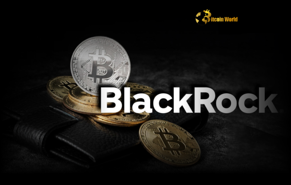 BlackRock Bitcoin: Unlock Potential with a 2% Portfolio Allocation Recommendation BlackRock Bitcoin Unlock Potential with a 2% Portfolio Allocation Recommendation