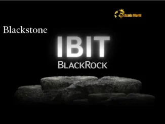 Blackstone Makes Landmark Bitcoin Investment via IBIT ETF