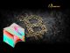 Block Unveils Revolutionary Bitcoin Payments Pilot Program