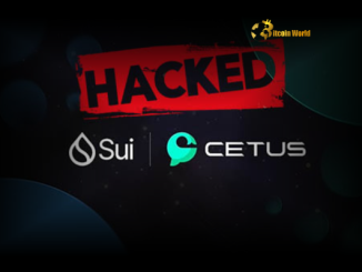 Cetus Exploit Shocking $220M Loss & Urgent Recovery Plan on Sui