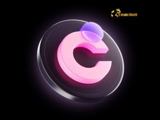 ColorPool Launch: Revolutionary Chromia DEX is Live