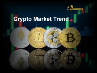 Crypto Market Trends: Unveiling the Next Big Opportunity in Cryptocurrency Investing