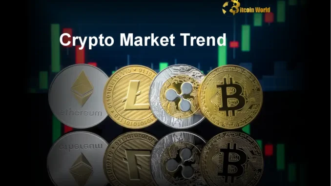 Crypto Market Trends: Unveiling the Next Big Opportunity in Cryptocurrency Investing