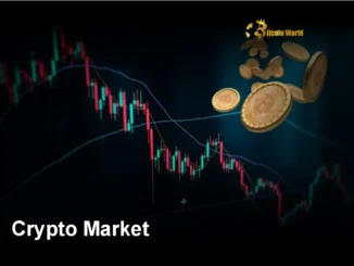 Crypto Market: Unveiling the Explosive Potential of the Next Bull Run
