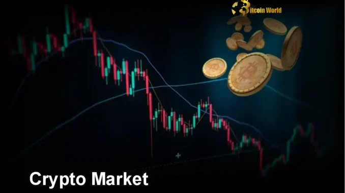 Crypto Market: Unveiling the Explosive Potential of the Next Bull Crypto Market: Unveiling the Explosive Potential of the Next Bull Run