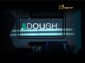 Dough Finance Hack: Users Devastated by $2.5M Loss and Crypto Lawsuit Against Founders