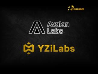 Exciting YZi Labs Investment Fuels Avalon Labs' Bitcoin DeFi Expansion