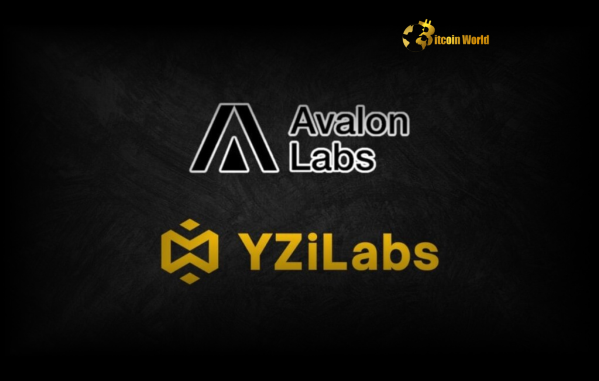 Exciting YZi Labs Investment Fuels Avalon Labs' Bitcoin DeFi Expansion