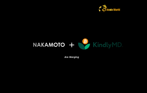 KindlyMD Bitcoin Adoption: Strategic Purchase Ahead of Nakamoto Merger KindlyMD Bitcoin Adoption: Strategic Purchase Ahead of Nakamoto Merger