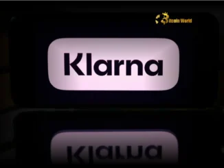 Klarna AI Unleashes Dramatic Revenue Per Employee Growth