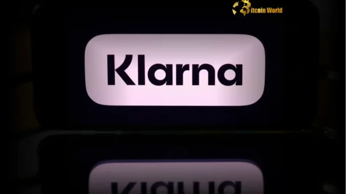 Klarna AI Unleashes Dramatic Revenue Per Employee Growth Klarna AI Unleashes Dramatic Revenue Per Employee Growth