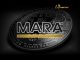 MARA Holdings: Spectacular Bitcoin Mining Revenue Record Set