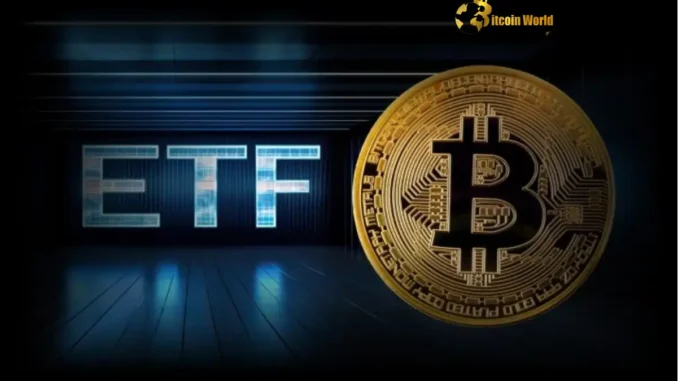 Massive US Spot Bitcoin ETF Inflows Signal Growing Confidence Massive US Spot Bitcoin ETF Inflows Signal Growing Confidence