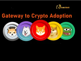 Memecoins: A Surprising New Gateway to Crypto Adoption