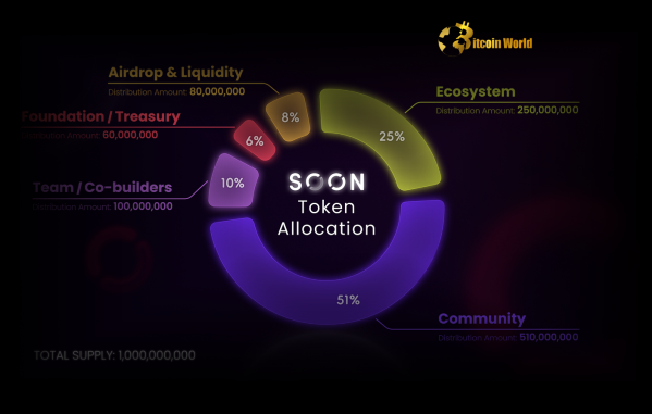 Revealed: SOON Tokenomics Focuses Heavily on Community with 51% Allocation Revealed SOON Tokenomics Focuses Heavily on Community with 51% Allocation