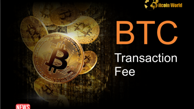 Soaring Bitcoin transaction fee Hits 2024 High Amid Falling Network Bitcoin (BTC) Transaction Fees Suddenly Reached Incredible Heights: Here’s Why