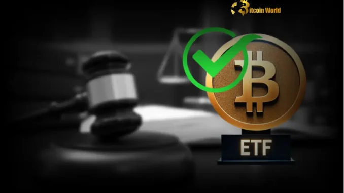 Spot Crypto ETF Approval: Bloomberg Analyst Issues Q4 Warning Spot Crypto ETF Approval: Bloomberg Analyst Issues Q4 Warning